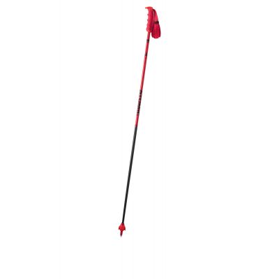 Redster Ultra Carbon Skistöcke 2018/19